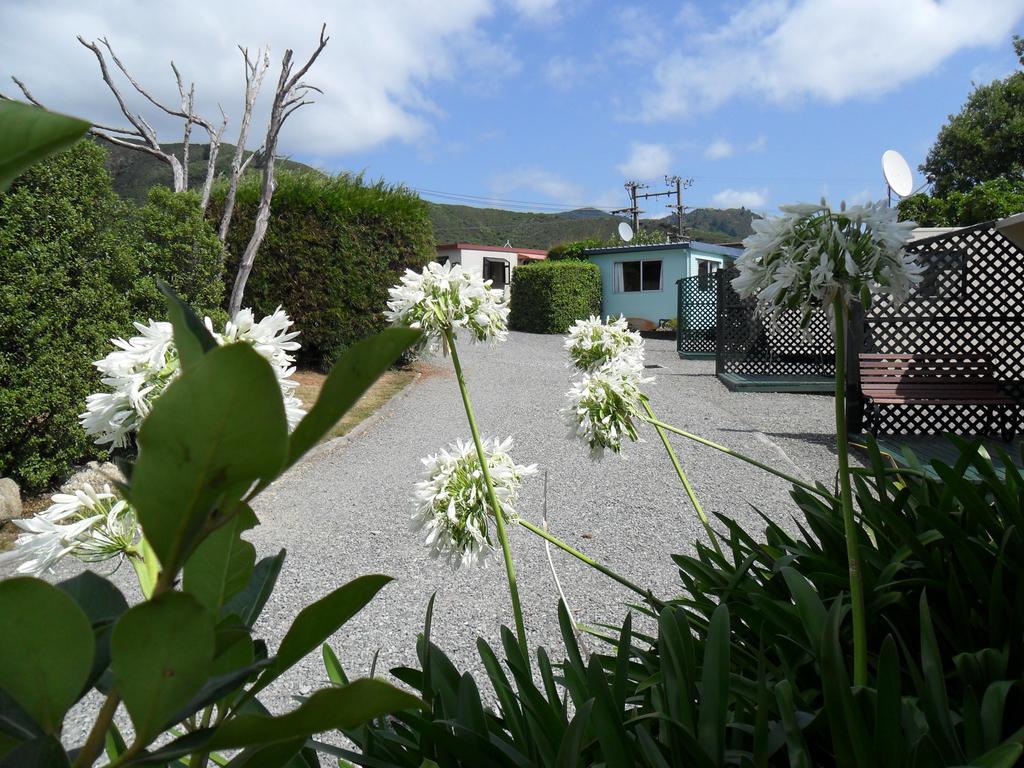 Picton'S Waikawa Bay Holiday Park Dış mekan fotoğraf